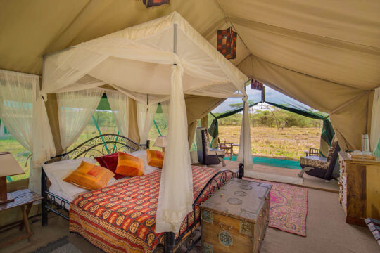 nasikia-mobile-migration-camp-ndutu-ncaa-serengeti-camps-lodges-nasikia-camps-game-drive-tours-tanzania-safaris-africa-camp-tent-room