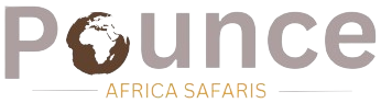 Pounce Africa Safaris